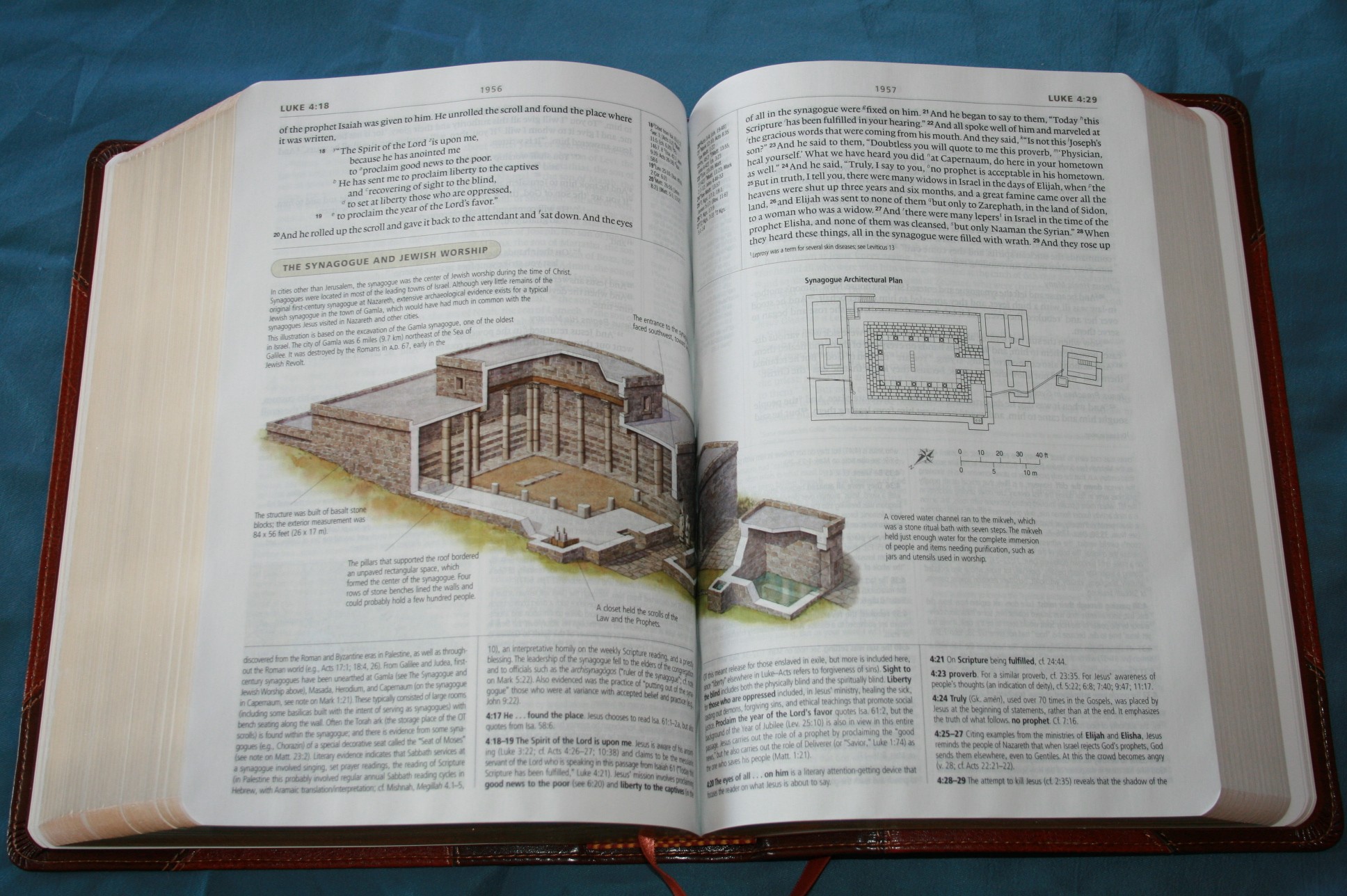 esv bible concordance