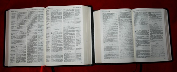 TBS Windsor Text Bible 035