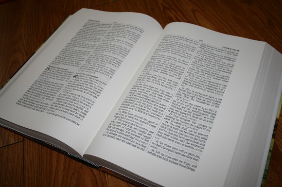 Hendrickson Large Print Wide Margin Bible KJV 008