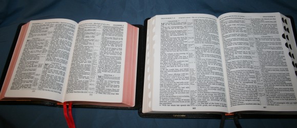 Cambridge Bibles 008