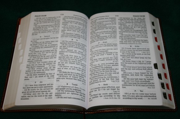 Holman Hand Size Giant Print Reference Bible KJV 038