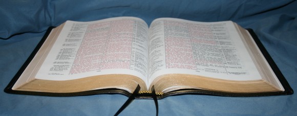 LCBP Thompson Chain Reference Bible 061