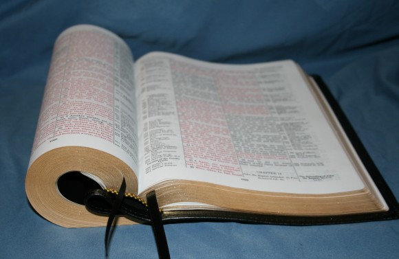LCBP Thompson Chain Reference Bible 063