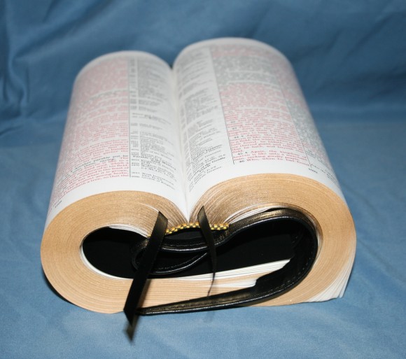 LCBP Thompson Chain Reference Bible 064