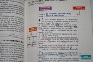 The New Inductive Study Bible ESV 004 - Bible Buying Guide