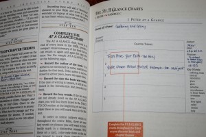 The New Inductive Study Bible ESV 005 - Bible Buying Guide