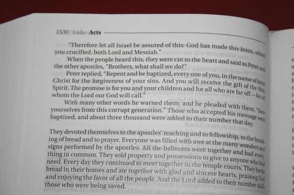 The Books of the Bible NIV 020