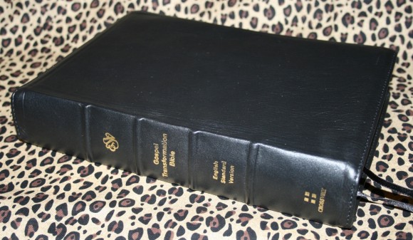 Gospel Transformation Bible 005