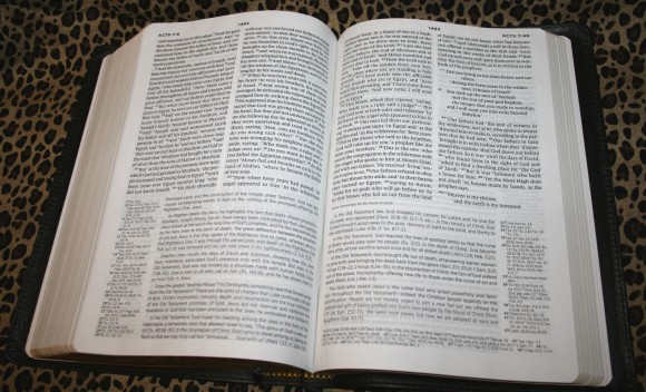 Gospel Transformation Bible 020