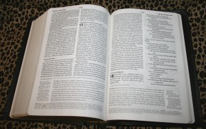 Crossways Gospel Transformation Bible - Review