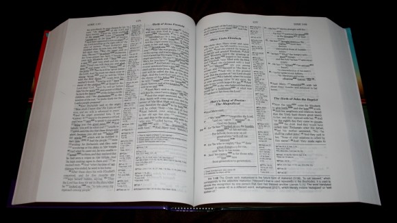 Hebrew-Greek Key Word Study Bible ESV 009