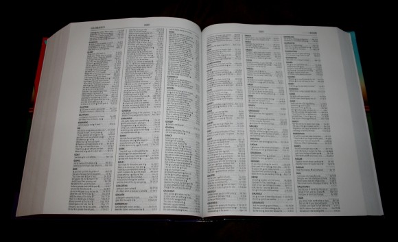 Hebrew-Greek Key Word Study Bible ESV 017