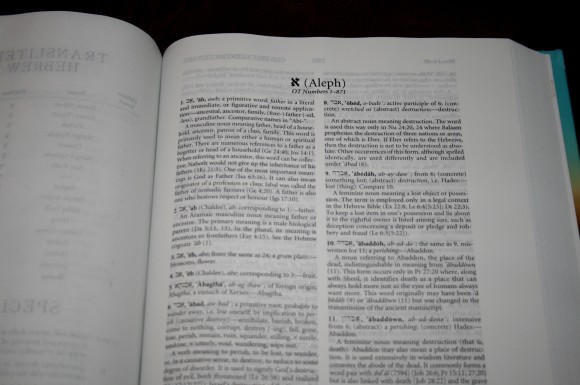 Hebrew-Greek Key Word Study Bible ESV 021