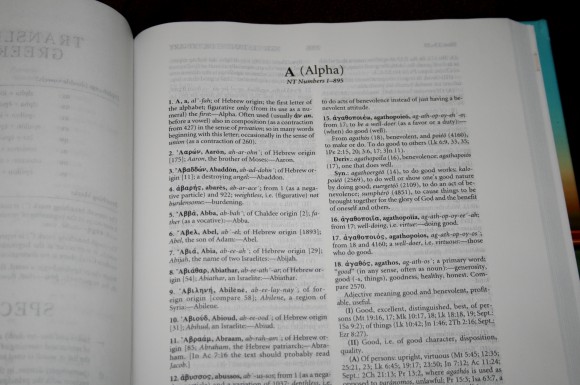 Hebrew-Greek Key Word Study Bible ESV 024