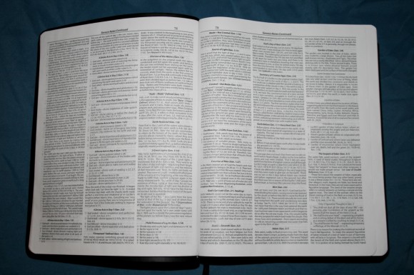 Dake Annotated Reference Bible NKJV 014