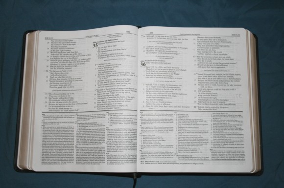 Dake Annotated Reference Bible NKJV 015