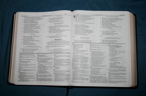 Dake Annotated Reference Bible NKJV 016