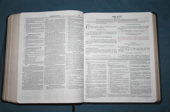 Dake Annotated Reference Bible NKJV 018