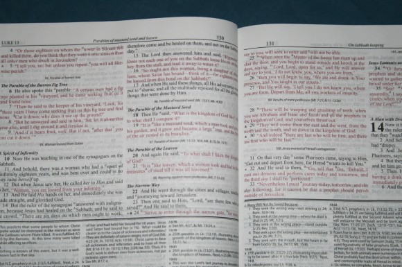 Dake Annotated Reference Bible NKJV 019