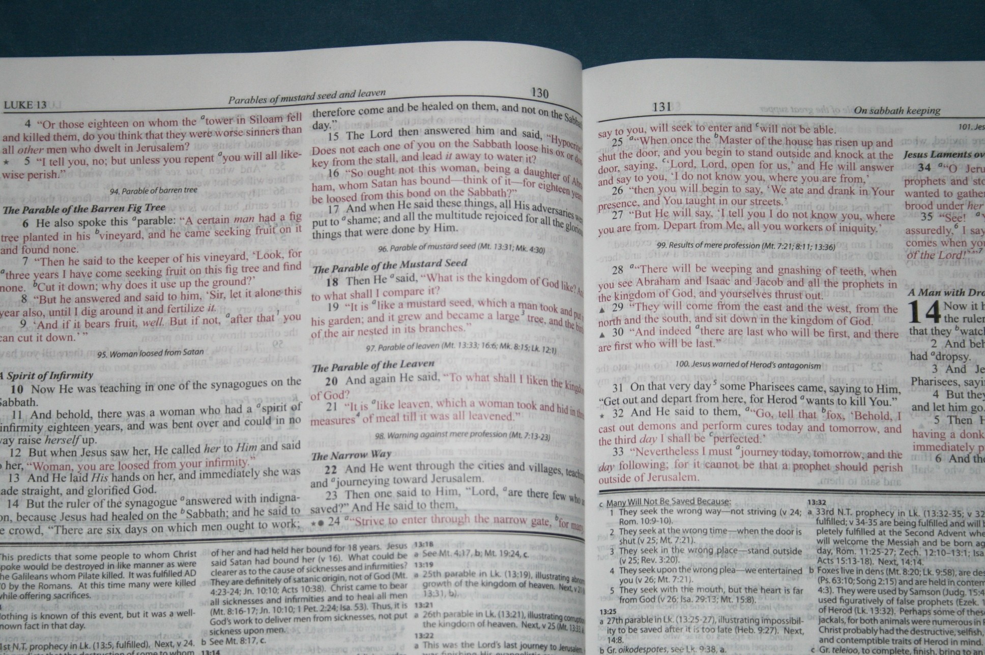 dakes bible commentary download