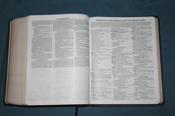 Dake Annotated Reference Bible NKJV 024
