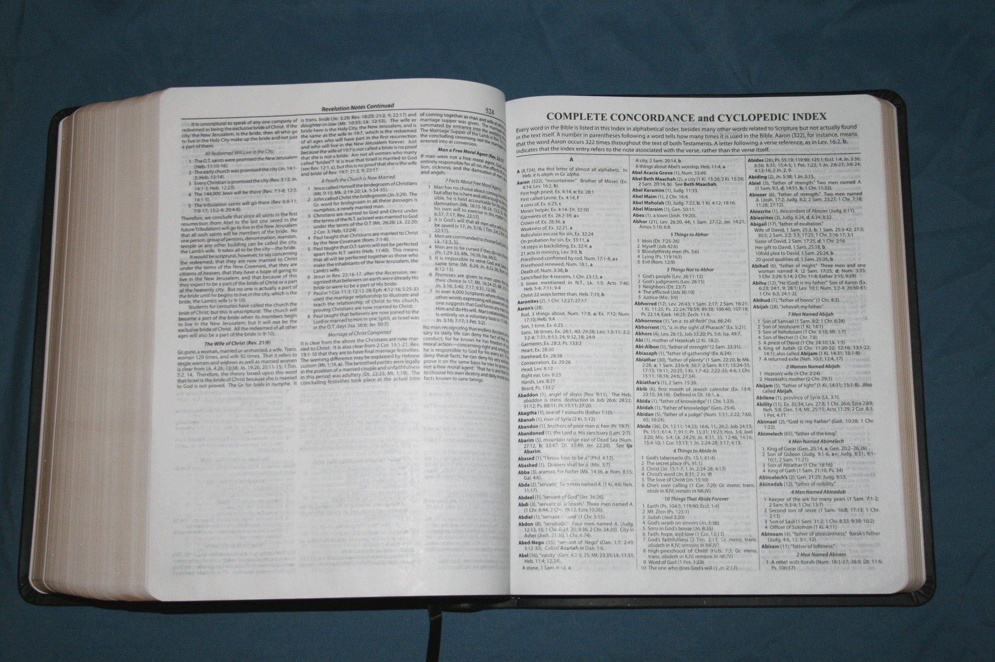 dake annotated reference bible free download full