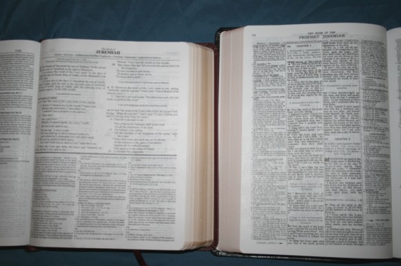 Dake Annotated Reference Bible NKJV 039