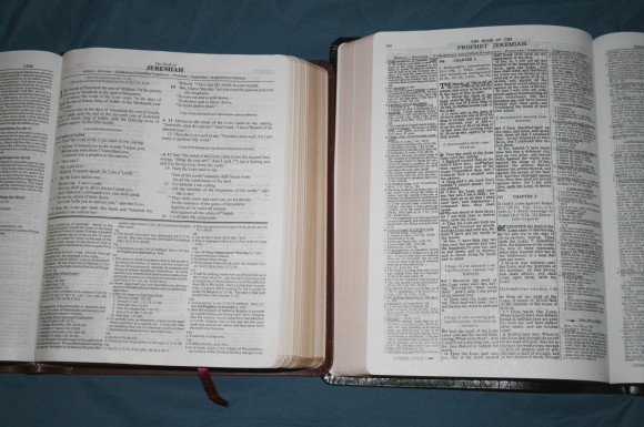 Dake Annotated Reference Bible NKJV 040