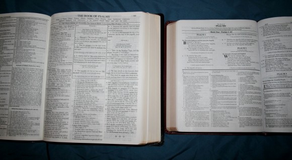 Dake Annotated Reference Bible NKJV 042
