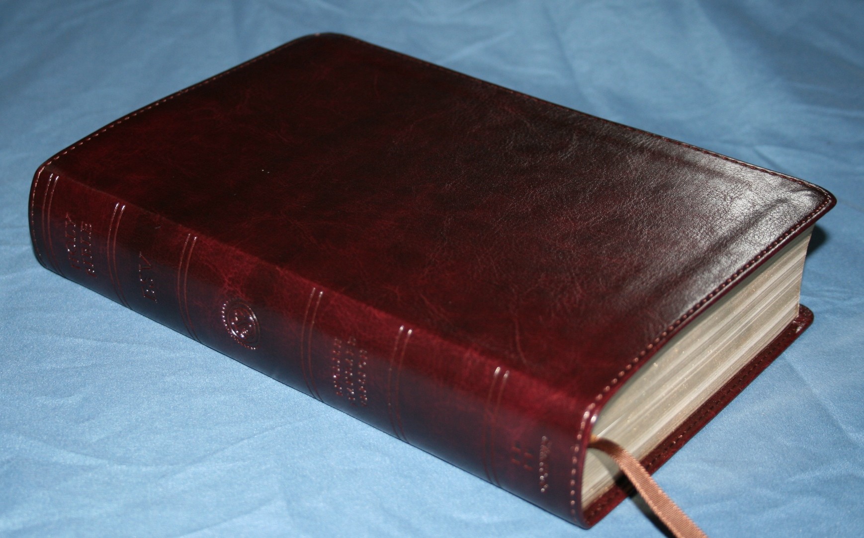 giant print esv bible