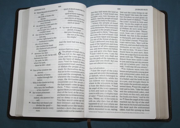 Crossway ESV Large Print Personal Size Bible 010