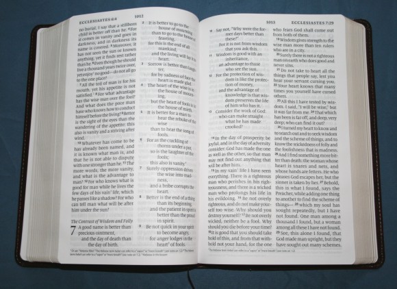 Crossway ESV Large Print Personal Size Bible 011