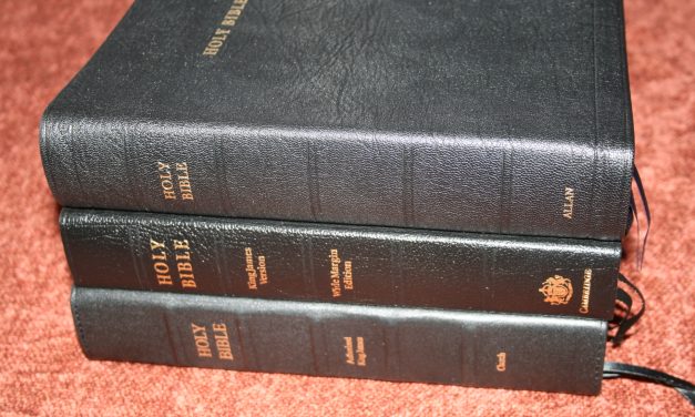 Note-Takers, Concord, and Brevier Clarendon Wide Margin Bibles Compared