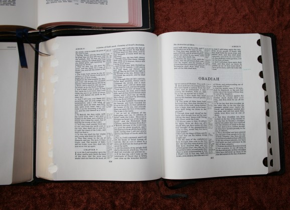 KJV Wide Margin Bibles 010 - Bible Buying Guide