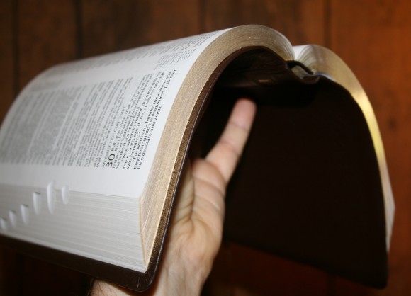 Holman KJV Large Print UltraThin Reference Bible in Brown Genuin 019