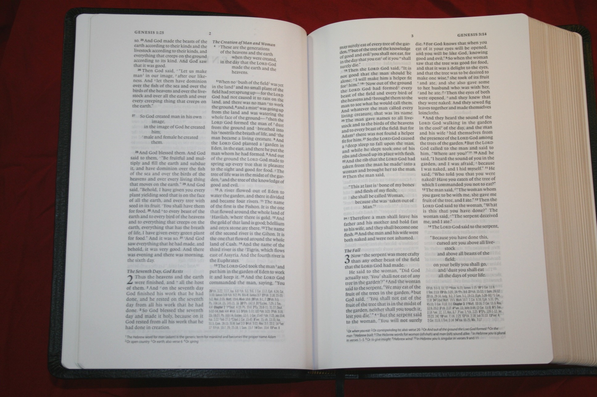 Crossway’s Wide Margin Reference Bible ESV in Black Genuine Leather ...