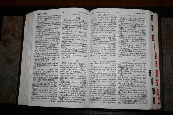 Holman Large Print Personal Size Reference Bible KJV in Brown Co 010