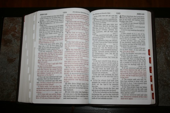 Holman Large Print Personal Size Reference Bible KJV in Brown Co 011