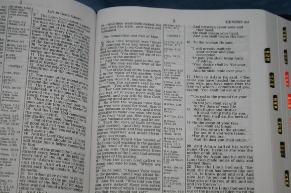 Holman NKJV Large Print Ultrathin Bible 013