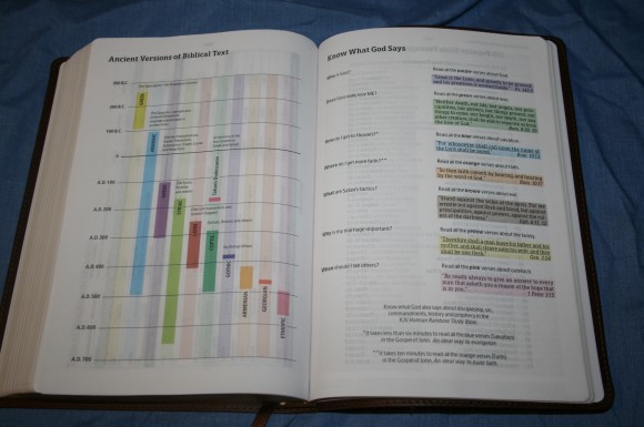 Improved Holman Rainbow Study Bible KJV 026