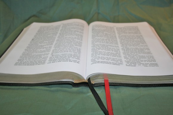 Holman KJV Ministers Bible in Black Top Grain Cow Hide (14)