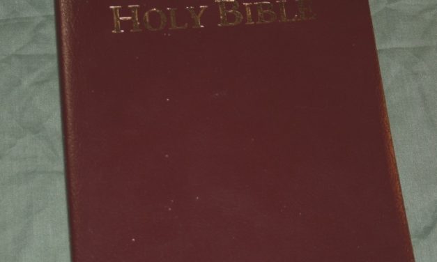 KJV Subject Bible – Review