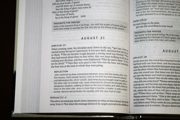 ESV Daily Devotional New Testament Page Close-up