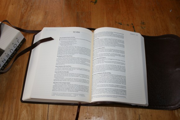 NIV Journaling Bible (2)
