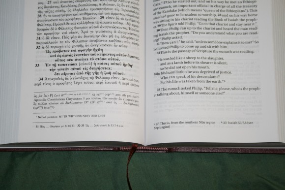 UBS NIV Greek English New Testament (4)