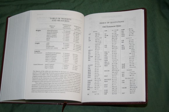 UBS NIV Greek English New Testament (6)