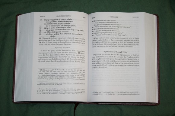 UBS NIV Greek English New Testament (7)