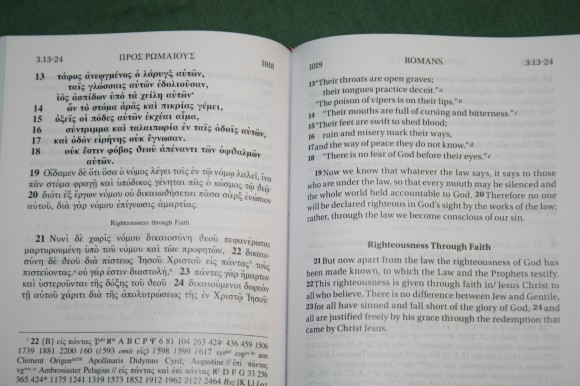 UBS NIV Greek English New Testament (8)