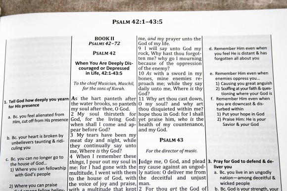 The Preacher’s Outline & Sermon Bible - Psalms Part 2 (10)