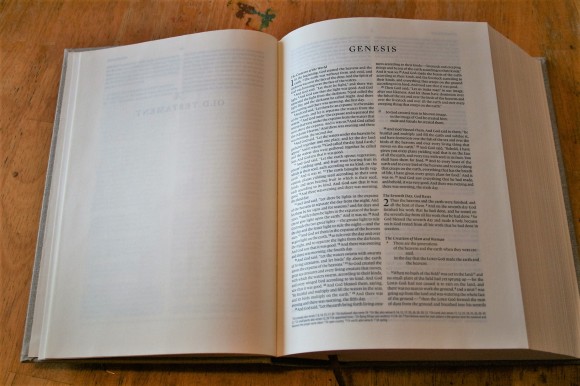 ESV Journaling Bible Interleaved Edition (3)